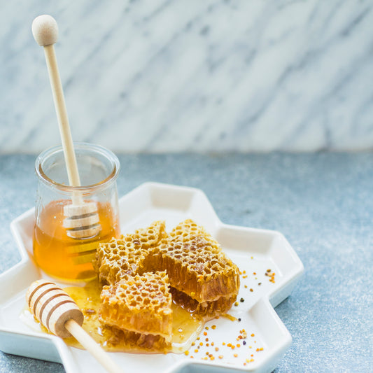 Honey Comb - A sweet creation by bees